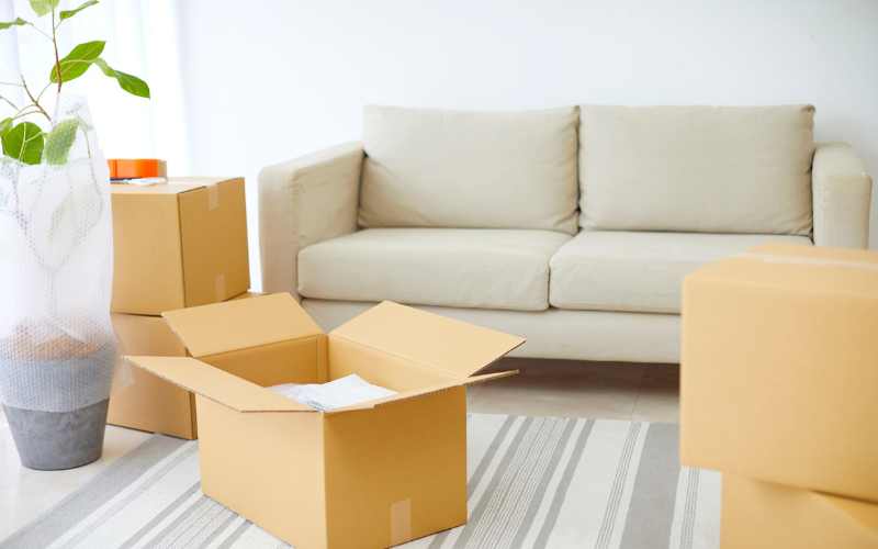 Prepare the Sofa